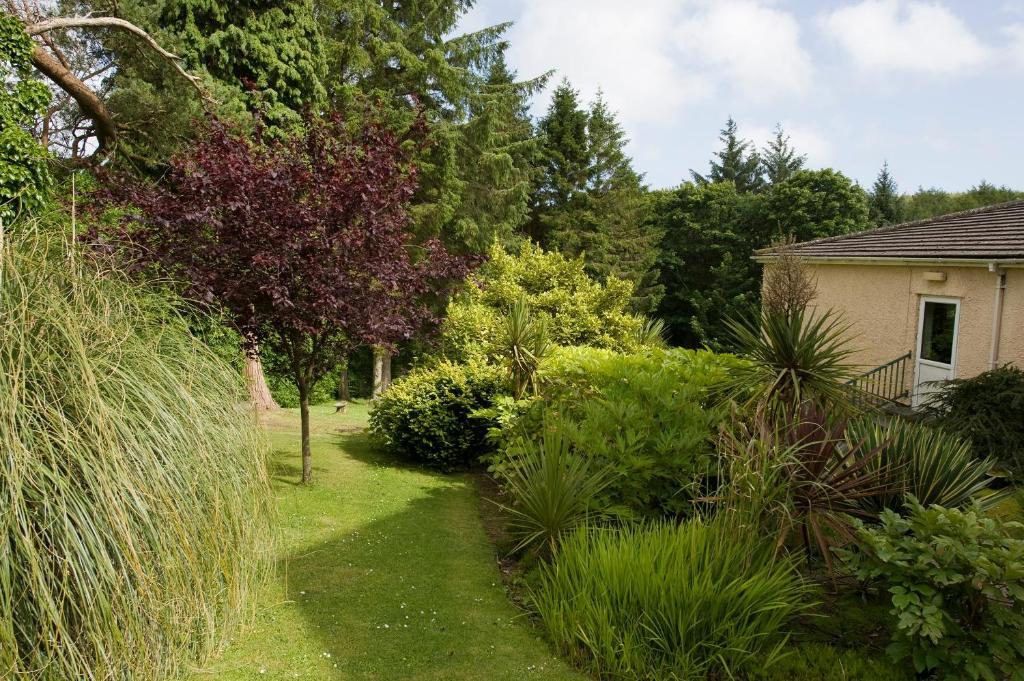 Cwmwennol Country House Saundersfoot Eksteriør billede